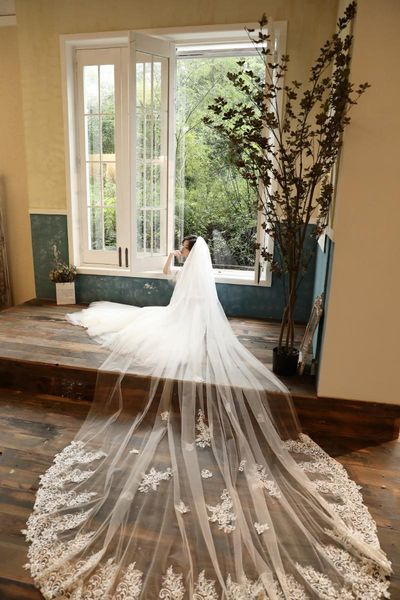 bridal veils custom made 2021 luxury long wide 3*3.5m beads lace appliqued with comb white and champange tulle wedding, Black
bridal veils custom made 2021 luxury long wide 3*3.5m beads lace appliqued with comb white and champange tulle wedding, Black