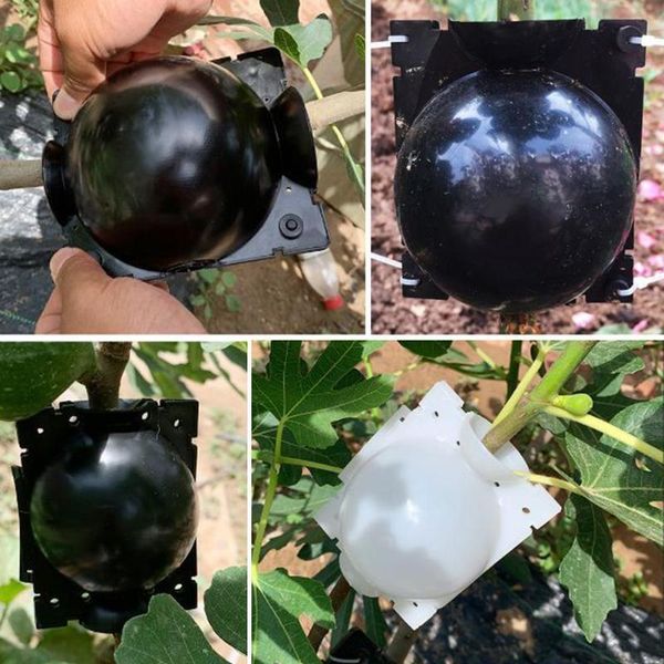 planters & pots 5pcs plant root growing box high pressure gardening ball breeding case for garden grafting rooting
planters & pots 5pcs plant root growing box high pressure gardening ball breeding case for garden grafting rooting