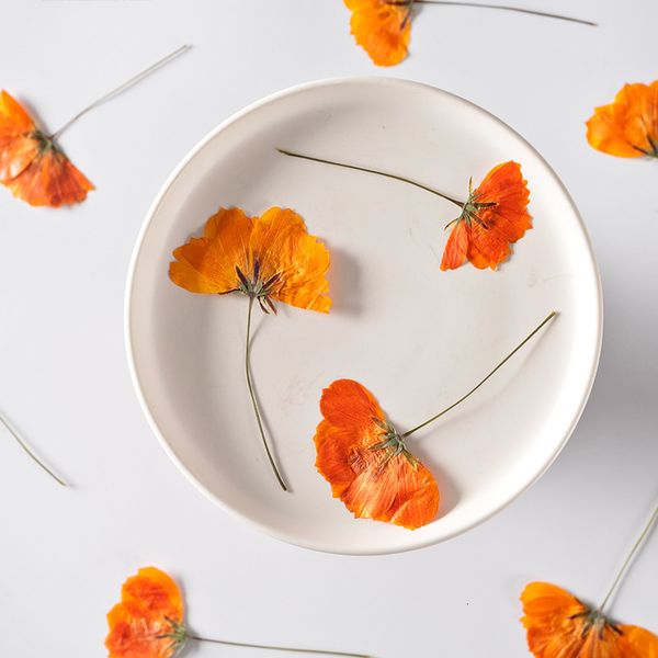 thiohua chrysanthemum embossing flower material glue dropping dry mobile phone case plant specimen teaching diy aromatherapy festival gift d
thiohua chrysanthemum embossing flower material glue dropping dry mobile phone case plant specimen teaching diy aromatherapy festival gift d