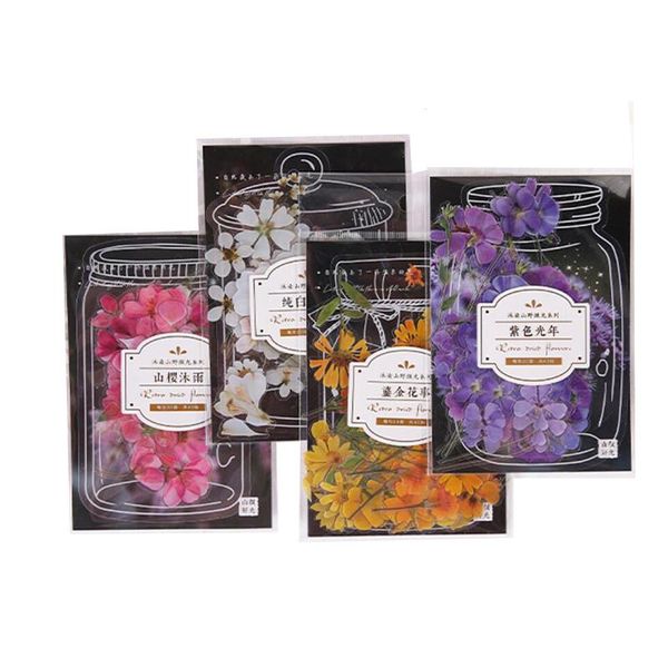 gift wrap 20pack plant flower sticker stationery scrapbook reward student transparent decoration diy handmade adhesive wholesale
gift wrap 20pack plant flower sticker stationery scrapbook reward student transparent decoration diy handmade adhesive wholesale
