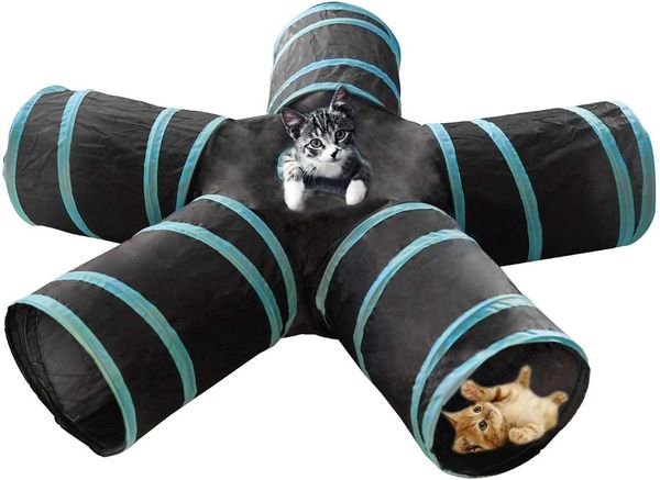 cat toys 5 ways cats tunnel kitten interactive pet assortments play training tube for puppy rabbits pets
cat toys 5 ways cats tunnel kitten interactive pet assortments play training tube for puppy rabbits pets