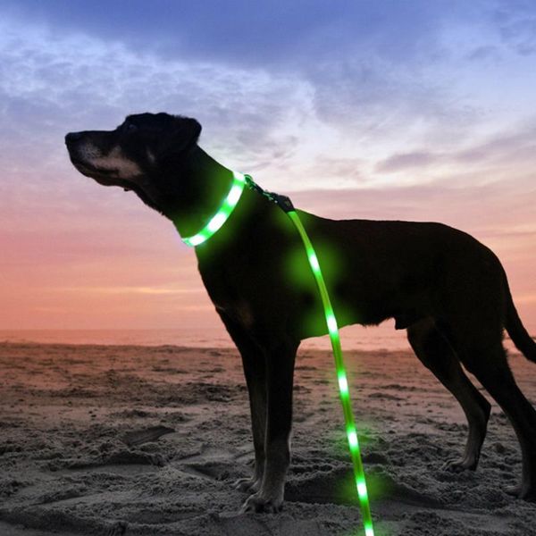 pet led dog leash - usb rechargeable, color changing night safety leashes for small medium and large dogs collar collars &
pet led dog leash - usb rechargeable, color changing night safety leashes for small medium and large dogs collar collars &