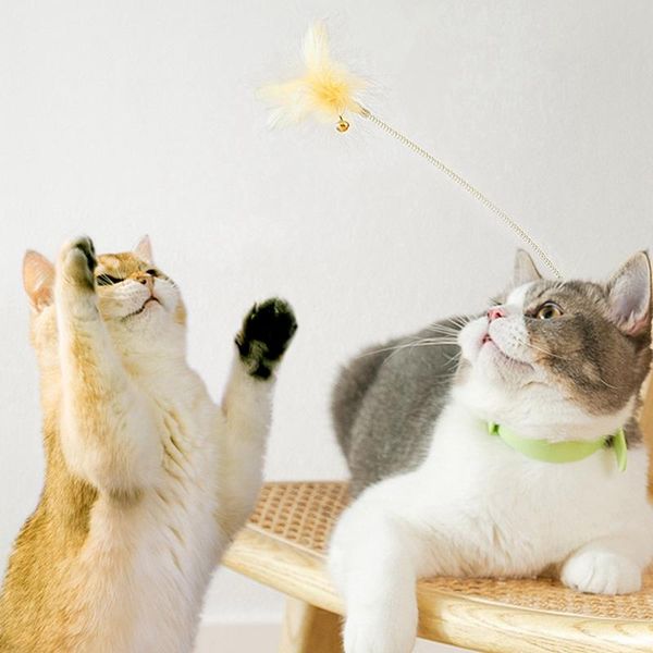 cat toys 1pc interactive toy creative faux feather kitten teasing adjustable collar with spring wand pet cats supplies
cat toys 1pc interactive toy creative faux feather kitten teasing adjustable collar with spring wand pet cats supplies