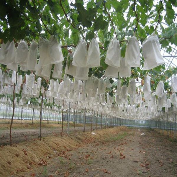 planters & pots 50pcs/lot garden vegetable grapes bags apples fruit protection bag pouch agricultural pest control anti-bird mesh 18 x 20cm
planters & pots 50pcs/lot garden vegetable grapes bags apples fruit protection bag pouch agricultural pest control anti-bird mesh 18 x 20cm