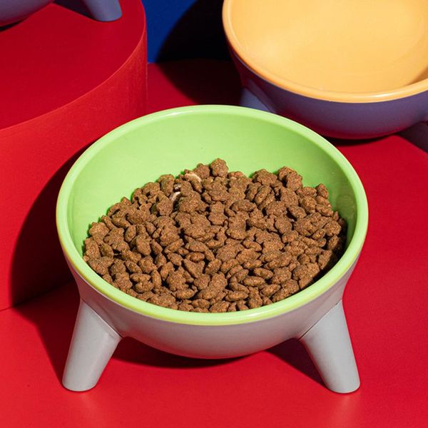 cat bowls & feeders dog feeder kennel drinking bowl pet food dogs and cats