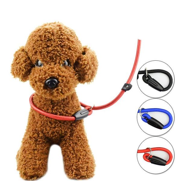dog collars & leashes 130cm pet leash rope adjustable nylon strap strong round slip training walking lead collar puppy supplies
dog collars & leashes 130cm pet leash rope adjustable nylon strap strong round slip training walking lead collar puppy supplies