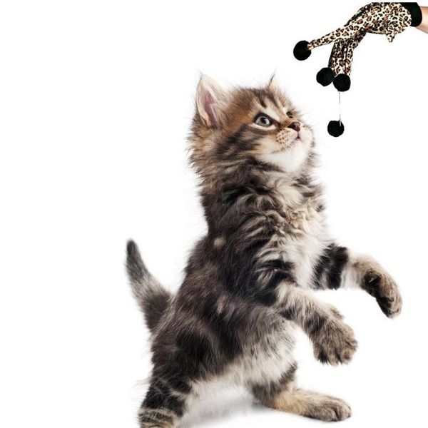 cat toys interactive glove toy lovely ball pet funny cute polka dot scratch crazy loving for kitten pets product
cat toys interactive glove toy lovely ball pet funny cute polka dot scratch crazy loving for kitten pets product