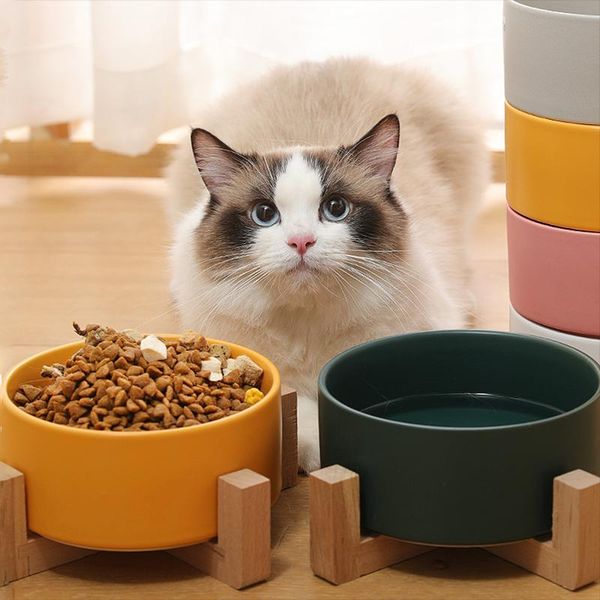 pet ceramic bowl with bamboo stand cat dog drinking container and feeding supplies bowls & feeders
pet ceramic bowl with bamboo stand cat dog drinking container and feeding supplies bowls & feeders