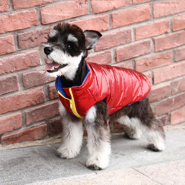 french bucket cloth dog autumn and winter bright face cotton vt bomei chenery thickened warm
french bucket cloth dog autumn and winter bright face cotton vt bomei chenery thickened warm