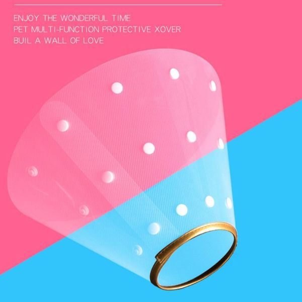 cat collars & leads pet gold edge circle elizabeth bite resistant