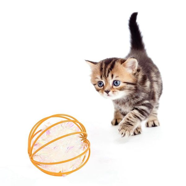 cat toys 1pc hollow ball colorful squeaky paper for cats kitten playing funny interactive rolling toy gatos
cat toys 1pc hollow ball colorful squeaky paper for cats kitten playing funny interactive rolling toy gatos