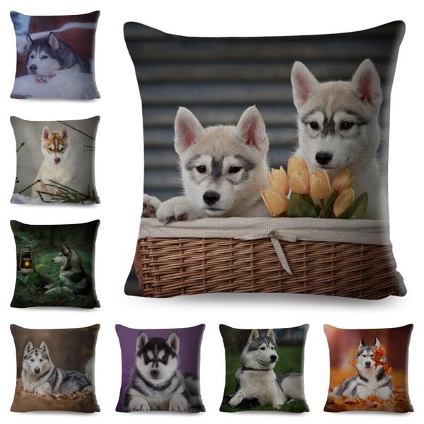 cushion/decorative pillow cute dog printed cushion cover for sofa home car decor pet animal siberian husky pillowcase linen 45*45cm case cov
cushion/decorative pillow cute dog printed cushion cover for sofa home car decor pet animal siberian husky pillowcase linen 45*45cm case cov