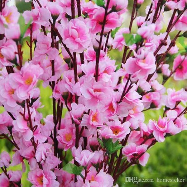 decorative flowers & wreaths garden party wedding decorations 1.2m high artificial fabric cherry blossom silk 5 color to pick
decorative flowers & wreaths garden party wedding decorations 1.2m high artificial fabric cherry blossom silk 5 color to pick