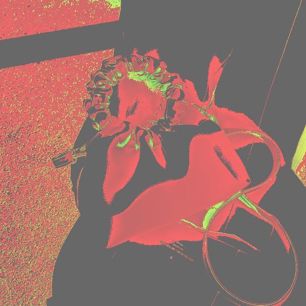 evening bags pu leather tote for women 2021 solid color shoulder simple bag female handbags and purses travel totes 
evening bags pu leather tote for women 2021 solid color shoulder simple bag female handbags and purses travel totes