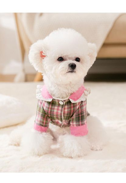 cat costumes pet clothes for cats katten kedi hoodie mascotas gato sweatshirt sweater pets clothing outfit
cat costumes pet clothes for cats katten kedi hoodie mascotas gato sweatshirt sweater pets clothing outfit
