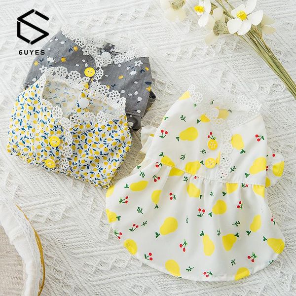 cat costumes clothes pet small dog dress in spring and summer cute skirt princess floral
cat costumes clothes pet small dog dress in spring and summer cute skirt princess floral
