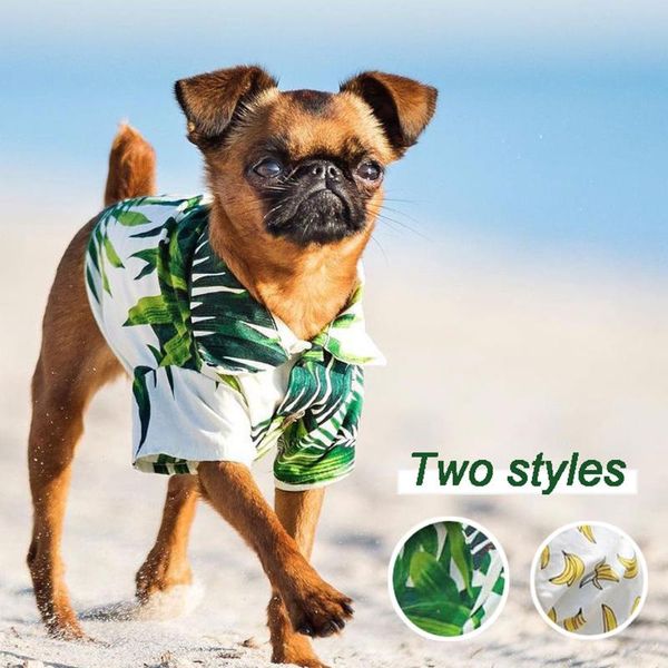 outfits summer pet printed clothes for small dogs fashion cotton colling puppy shirt floral beach hawaiian dog costume teddy apparel
outfits summer pet printed clothes for small dogs fashion cotton colling puppy shirt floral beach hawaiian dog costume teddy apparel