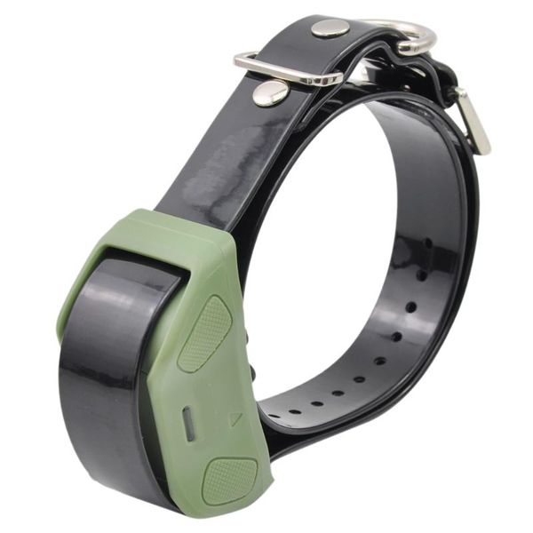 dog collars & leashes extra only collar pet618 remote 600m training waterproof and rechargeable
dog collars & leashes extra only collar pet618 remote 600m training waterproof and rechargeable