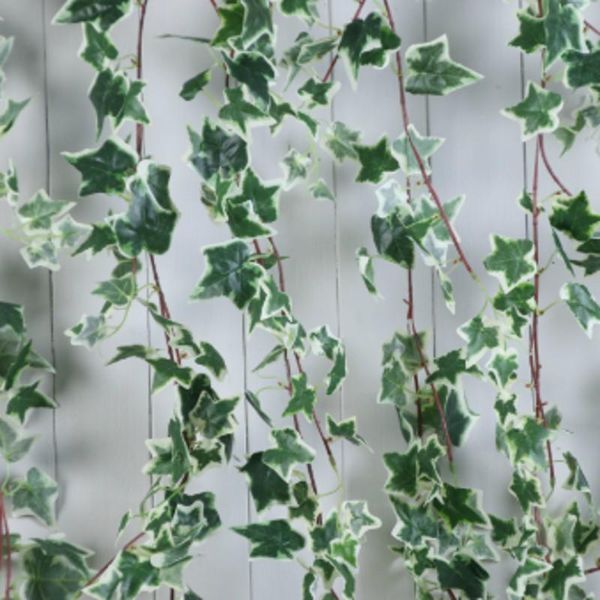 decorative flowers & wreaths 180cm artificial ivy plant greens faux plants wedding garden fake rattan wall hanging wine garland jungle party
decorative flowers & wreaths 180cm artificial ivy plant greens faux plants wedding garden fake rattan wall hanging wine garland jungle party