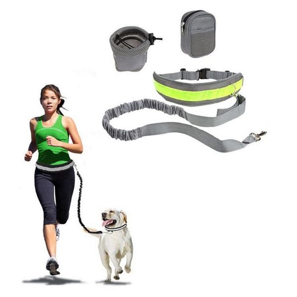dog collars & leashes handsadjustable ice silk leash with reflective strip elastic waist belt running jogging pet collar rope
dog collars & leashes handsadjustable ice silk leash with reflective strip elastic waist belt running jogging pet collar rope