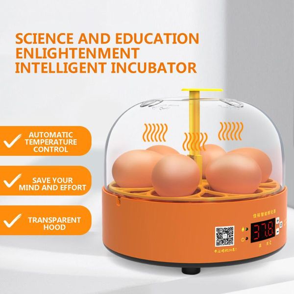 egg boilers tarts electric fast cooker double stealing knife large boiled automatic steam overheat protection
egg boilers tarts electric fast cooker double stealing knife large boiled automatic steam overheat protection