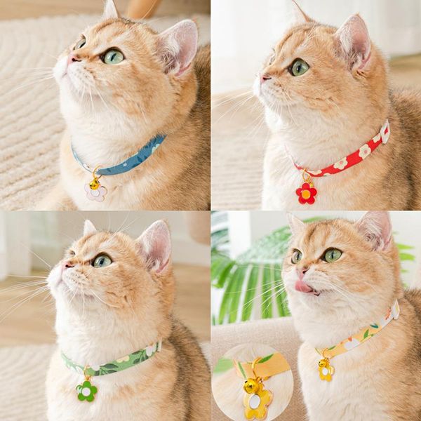cat collars & leads kitten collar with sunflower pendant breakaway adjustable cats puppy pet supplies accessories
cat collars & leads kitten collar with sunflower pendant breakaway adjustable cats puppy pet supplies accessories