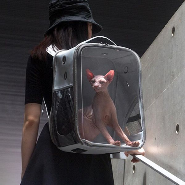 pet cat carrier backpack transparent travel carrying space double shoulder bag for small dogs cats portable handbag outdoor bags dog car sea
pet cat carrier backpack transparent travel carrying space double shoulder bag for small dogs cats portable handbag outdoor bags dog car sea
