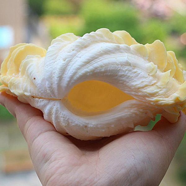 novelty items 19-21cm dragon scale melaleuca light yellow natural conch shell fish tank landscaping potted home storage decoration lotus
novelty items 19-21cm dragon scale melaleuca light yellow natural conch shell fish tank landscaping potted home storage decoration lotus