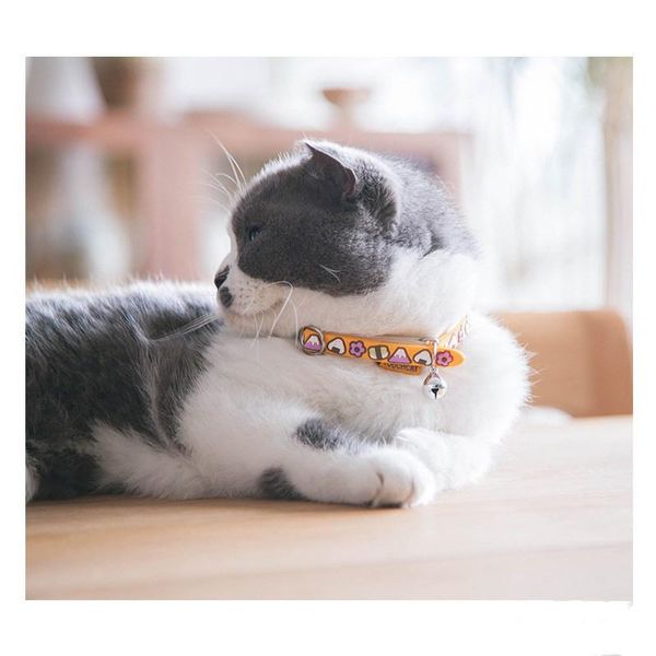 cat costumes cute pvc collar soft collars accessories kitten bell multiple colors available garfield gifts
cat costumes cute pvc collar soft collars accessories kitten bell multiple colors available garfield gifts