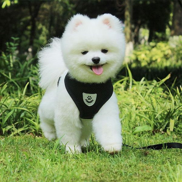 dog collars & leashes leash breathable vest pet chest strap harness for small breeds dogs collar cats accessories
dog collars & leashes leash breathable vest pet chest strap harness for small breeds dogs collar cats accessories