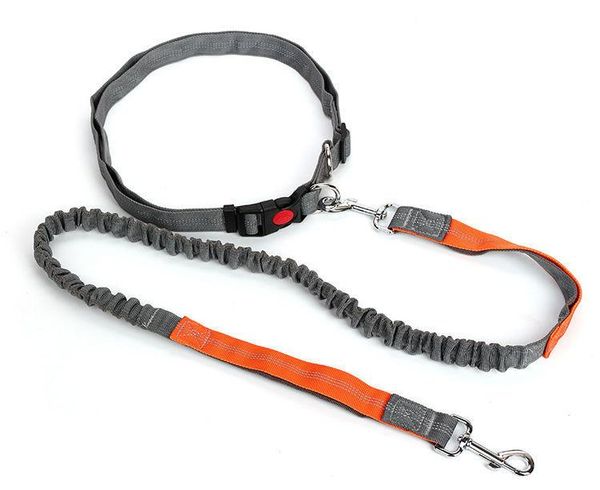 dog collar custom nylon puppy cat tag leash personalized pet nameplate id collars adjustable for medium large dogs & leashes
dog collar custom nylon puppy cat tag leash personalized pet nameplate id collars adjustable for medium large dogs & leashes