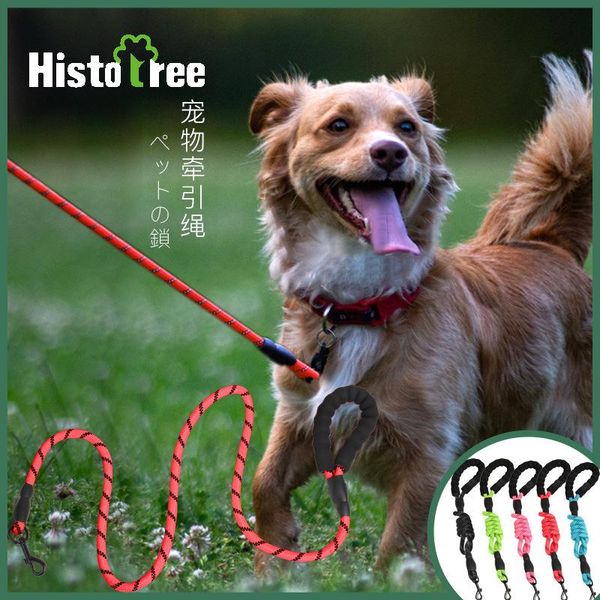 dog collars & leashes pet traction rope chain hook big nylon supplies foam handle walking accessories
dog collars & leashes pet traction rope chain hook big nylon supplies foam handle walking accessories