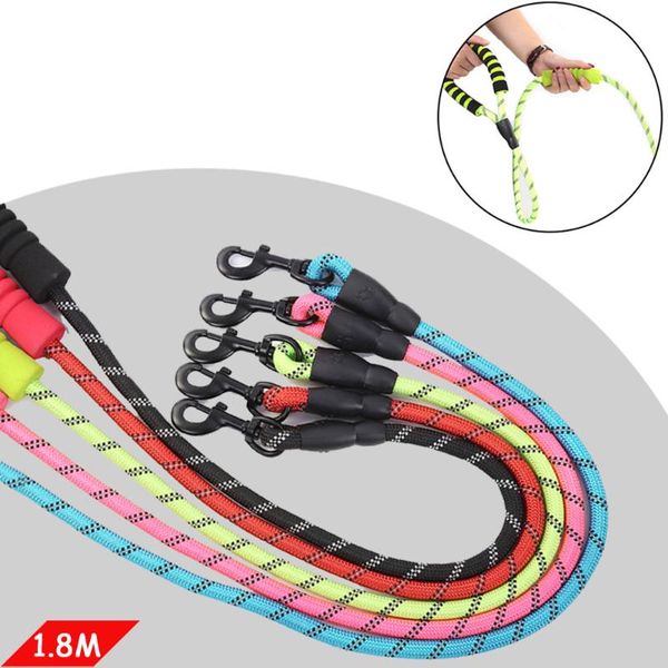 durable leash for dog 2 handle quick release pet nylon strong comfortable padded foam medium big dogs collars & leashes
durable leash for dog 2 handle quick release pet nylon strong comfortable padded foam medium big dogs collars & leashes