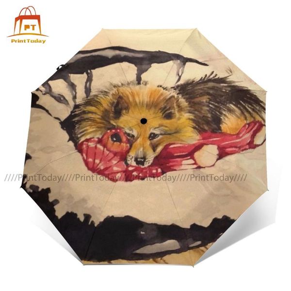 umbrellas pomeranian umbrella uv protection automatic cool print lightweight outdoor
umbrellas pomeranian umbrella uv protection automatic cool print lightweight outdoor