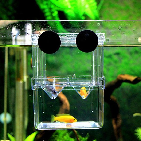 aquariums multifunctional fish breeding isolation box incubator for tank aquarium accessory
aquariums multifunctional fish breeding isolation box incubator for tank aquarium accessory