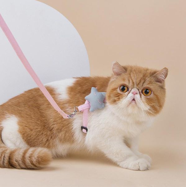 cat collars & leads pet dog supplies dogs traction rope leashes tool for small medium large
cat collars & leads pet dog supplies dogs traction rope leashes tool for small medium large