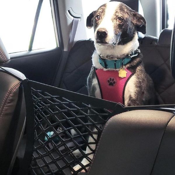 car dog pet barrier guard back seat safety protector mesh net for suv truck covers