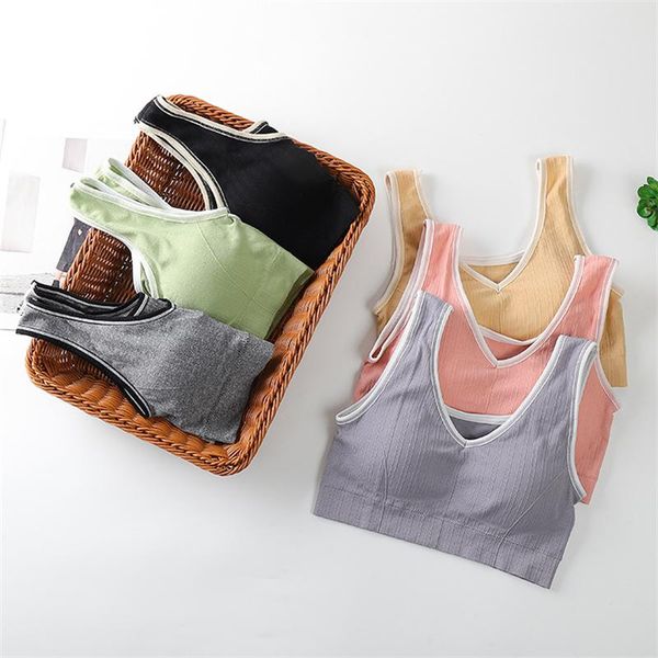yoga outfit sports bra women fashion crop skin-friendly breathable sweat absorption gathered beauty back cute cotton underwear
yoga outfit sports bra women fashion crop skin-friendly breathable sweat absorption gathered beauty back cute cotton underwear