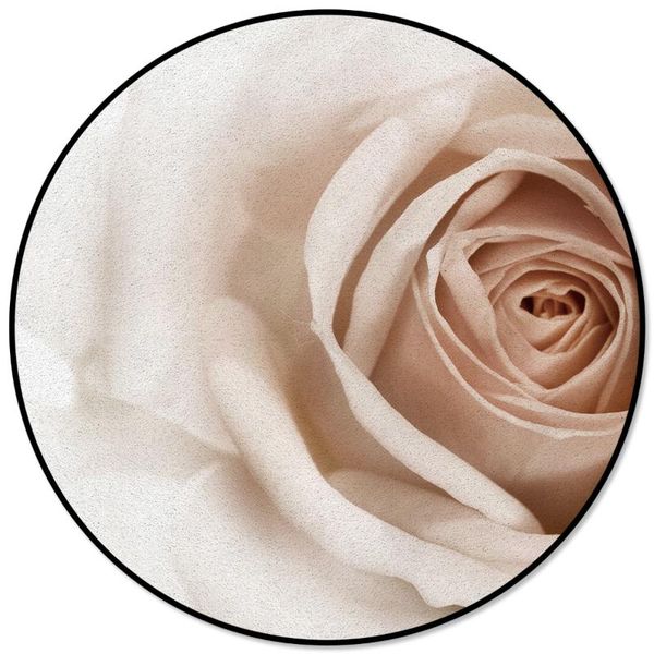 carpets 3d white rose pattern rugs and for home living room round rug children rooms non-slip
carpets 3d white rose pattern rugs and for home living room round rug children rooms non-slip
