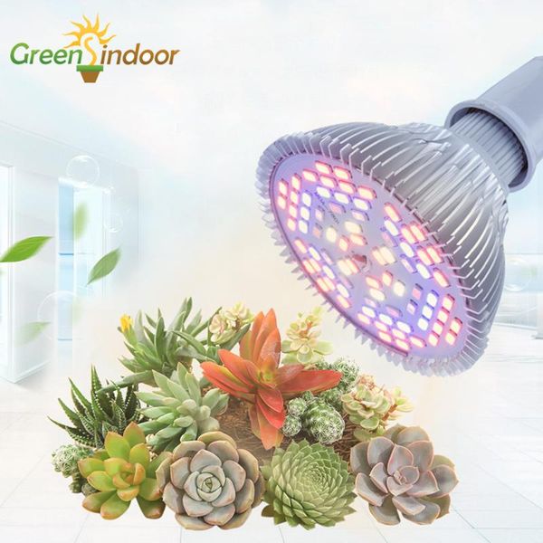 full spectrum led grow light bulbs e27 e26 indoor lights for plant phyto lamp 80w 50w 30w plants tent garden
full spectrum led grow light bulbs e27 e26 indoor lights for plant phyto lamp 80w 50w 30w plants tent garden