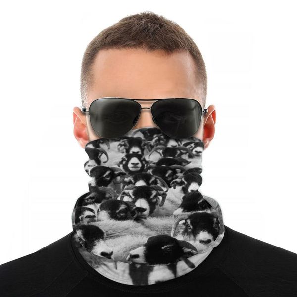 scarves livestock animal magic scarf half face mask neck warmer balaclava bandanas multi-functional headwear biking climbing, Blue;gray
scarves livestock animal magic scarf half face mask neck warmer balaclava bandanas multi-functional headwear biking climbing, Blue;gray
