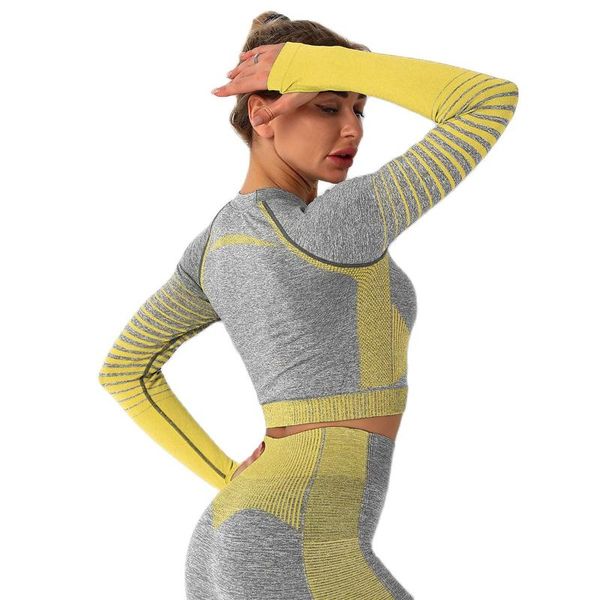 yoga outfit 2pcs seamless set women long sleeve crop high waist tummy control sport leggings gym sports suits fitness clothing
yoga outfit 2pcs seamless set women long sleeve crop high waist tummy control sport leggings gym sports suits fitness clothing