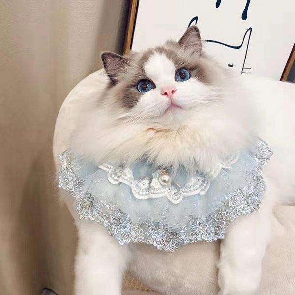 cat costumes 2021 handmade blue lace bow bib tie pet accessories dog necklace dogs festival
cat costumes 2021 handmade blue lace bow bib tie pet accessories dog necklace dogs festival