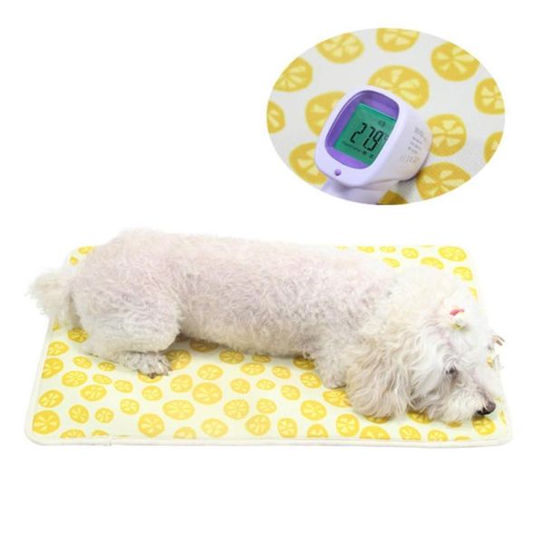 kennels & pens pet dog cats candy memory foam waterproof thin cool sleeping mat cushion pad
kennels & pens pet dog cats candy memory foam waterproof thin cool sleeping mat cushion pad