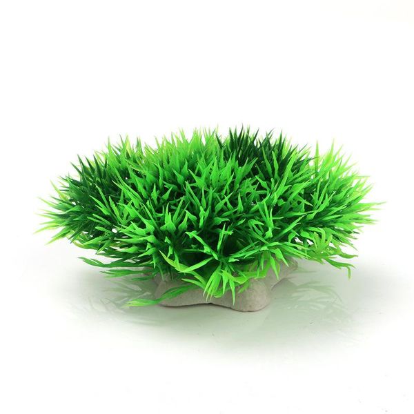 fish tank landscaping ornaments decoration fake water plants plastic simulation supplies aquarium haystack 1 pcs decorations
fish tank landscaping ornaments decoration fake water plants plastic simulation supplies aquarium haystack 1 pcs decorations