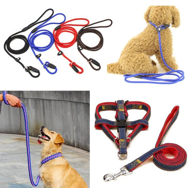 dog collars & leashes pet car seat belt adjustable harness seatbelt lead leash for small medium dogs nylon collar walking running
dog collars & leashes pet car seat belt adjustable harness seatbelt lead leash for small medium dogs nylon collar walking running