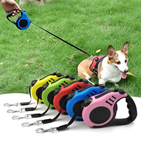 dog collars & leashes 3m 5m durable leash automatic retractable nylon cat lead extension puppy walking running roulette for dogs
dog collars & leashes 3m 5m durable leash automatic retractable nylon cat lead extension puppy walking running roulette for dogs