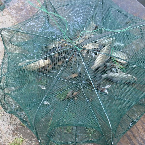 fishing accessories mesh for neackle/cage folding crayfish catcher casting/fish network crab/crayfish/shrimp/smelt/eels traps
fishing accessories mesh for neackle/cage folding crayfish catcher casting/fish network crab/crayfish/shrimp/smelt/eels traps