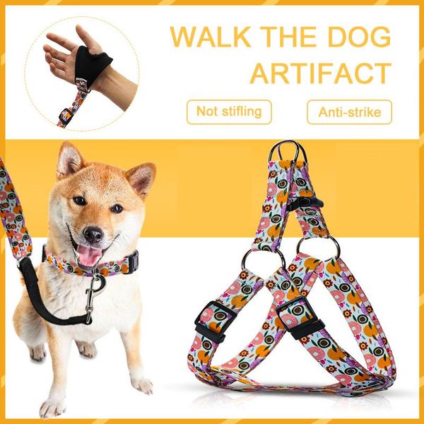 dog collars & leashes three-piece suit collar pet harness vest leads light reflective leash for outdoor walking supplies
dog collars & leashes three-piece suit collar pet harness vest leads light reflective leash for outdoor walking supplies