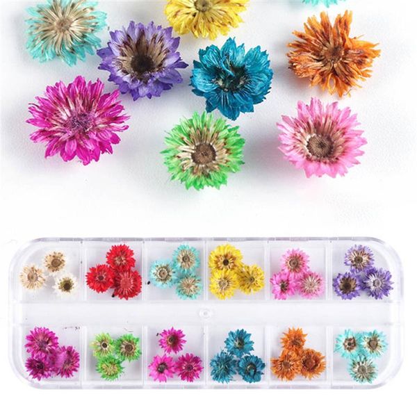 decorative flowers & wreaths 1 box pressed dried ammi majus flower dry plants necklace jewelry making craft diy accessories artificial decor
decorative flowers & wreaths 1 box pressed dried ammi majus flower dry plants necklace jewelry making craft diy accessories artificial decor